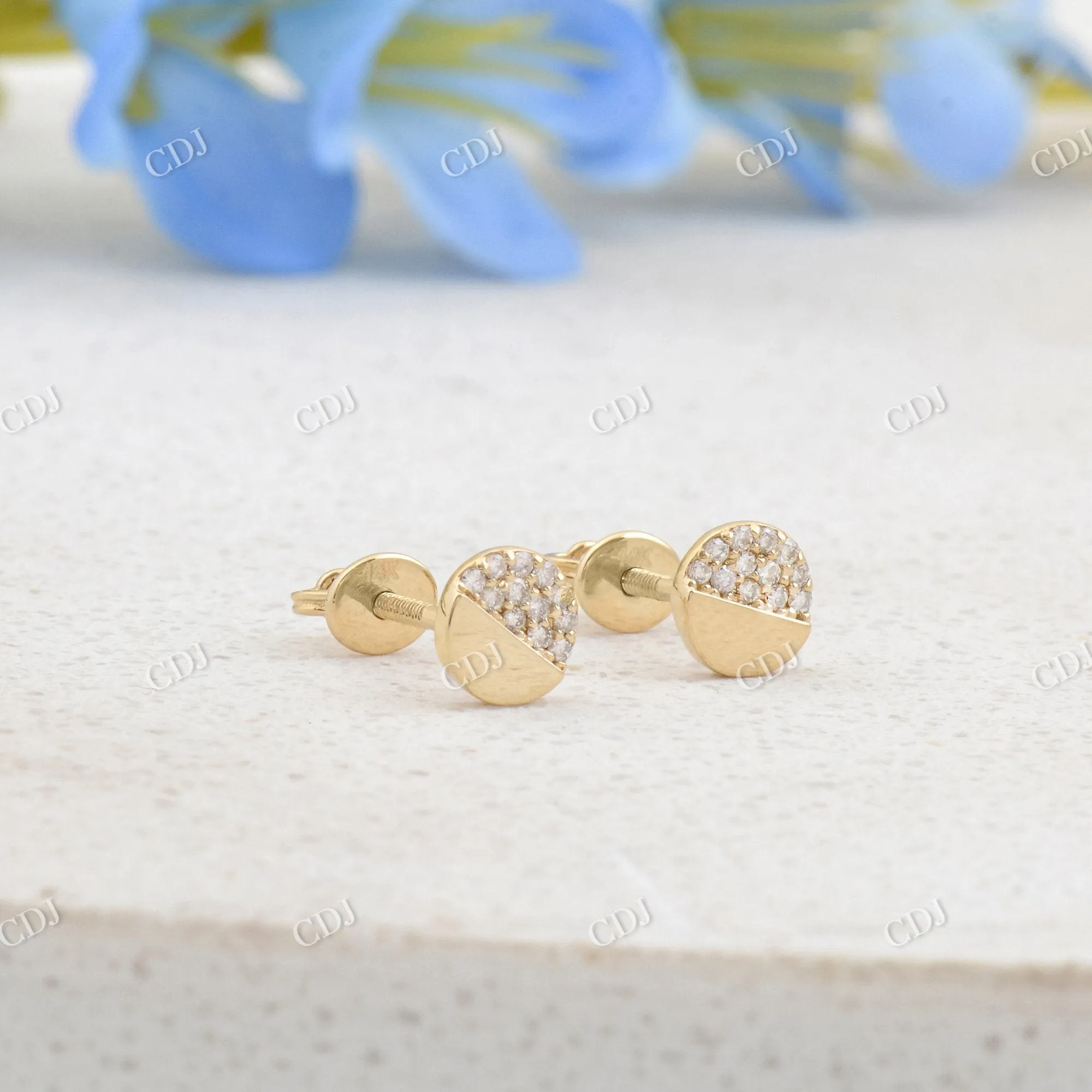 0.12CTW Round Moissanite Screw Back Stud Earrings