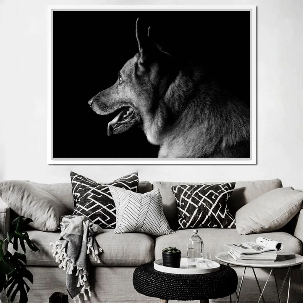 Black and White German Shepherd